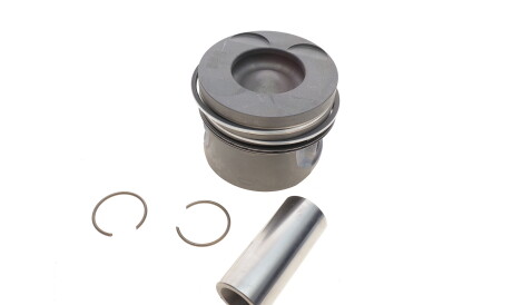 Фото 2 - Поршні NPR 130 010 0003 00 (130010000300)