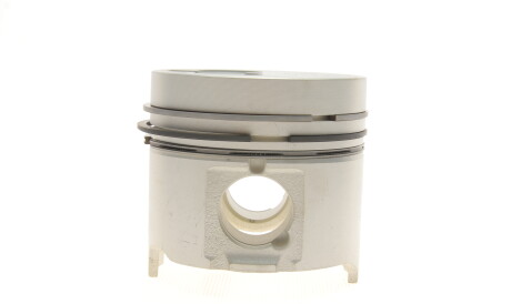 Фото 3 - Поршні NPR 130 011 0002 00 (130011000200)