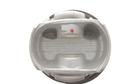 Фото 4 - Поршні NPR 130 035 0016 21 (130035001621)