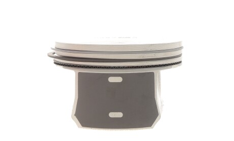 Фото 6 - Поршні NPR 130 035 0016 21 (130035001621)