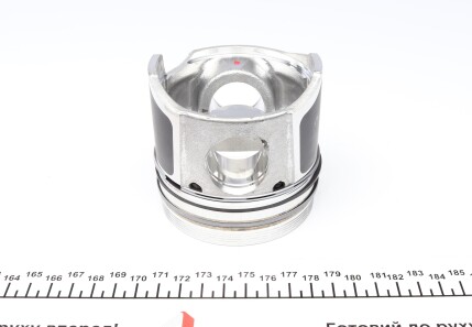 Фото 3 - Поршні NPR 130 037 0020 00 (130037002000)