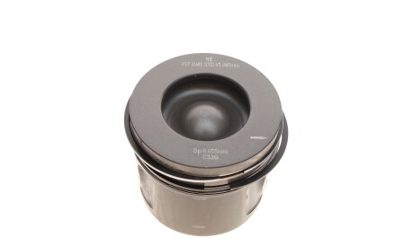 Фото 2 - Поршень NPR 130 037 0041 00 (130037004100)