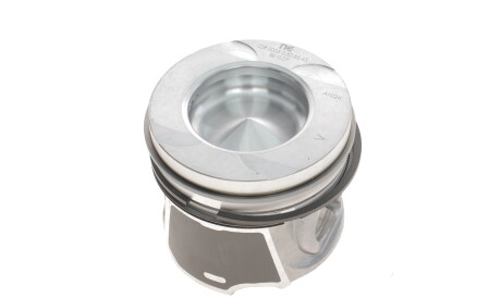 Фото 3 - Поршні NPR 130 038 0003 21 (130038000321)