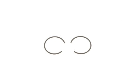 Фото 2 - Поршень NPR 130 038 0025 00 (130038002500)