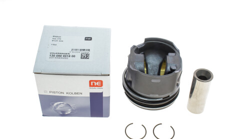Фото 4 - Поршні NPR 130 050 0018 00 (130050001800)