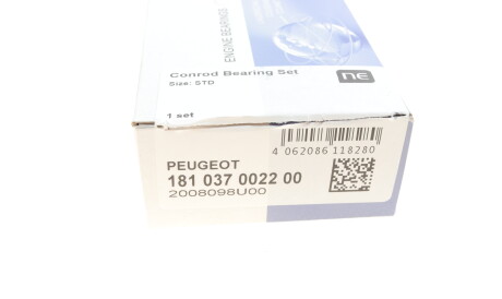 Фото 3 - Вкладыши шатунные NPR 181 037 0022 00 (181037002200)