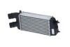 CHLODNICA INTERCOOLER - (0384J3) NRF 309029 (фото 1)