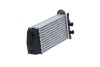 CHLODNICA INTERCOOLER - (0384J3) NRF 309029 (фото 2)