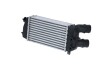 CHLODNICA INTERCOOLER - (0384J3) NRF 309029 (фото 3)