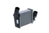 CHLODNICA INTERCOOLER - (078145806L) NRF 309031 (фото 4)