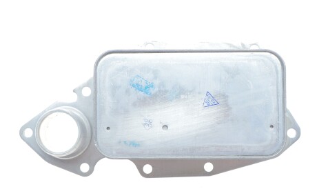 Радиатор масляный Renault Master III 2.3 DCi 10- (теплообменник) RWD(без прокладок) - NRF DSC_31864