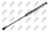 TAILGATE GAS SPRING - NTY AE-AR-022 (фото 1)