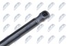 TAILGATE GAS SPRING - NTY AE-AU-023 (фото 3)