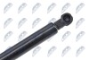 HOOD GAS SPRING - (8J0823359C) NTY AE-AU-033 (фото 3)