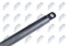 HOOD GAS SPRING - (51231960852) NTY AE-BM-000 (фото 3)