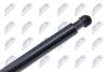 HOOD GAS SPRING - (51238202688) NTY AE-BM-020 (фото 3)