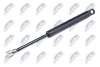 HOOD GAS SPRING - (51231944119) NTY AE-BM-028 (фото 1)