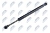 HOOD GAS SPRING - (51237070670) NTY AE-BM-035 (фото 1)