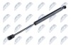 HOOD GAS SPRING - (51237309117) NTY AE-BM-046 (фото 1)