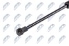 HOOD GAS SPRING - (41612990344, 51232990344) NTY AE-BM-052 (фото 2)