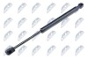 HOOD GAS SPRING - (51237210727) NTY AE-BM-054 (фото 1)