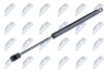 HOOD GAS SPRING - (51238397401) NTY AE-BM-057 (фото 1)