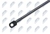 TAILGATE GAS SPRING - (8731R7) NTY AE-CT-007 (фото 2)