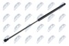 HOOD GAS SPRING - (792520) NTY AE-CT-016 (фото 1)