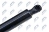 TAILGATE GAS SPRING - (8731S0, 9681426980, 3555223) NTY AE-CT-019 (фото 3)