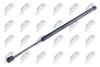 TAILGATE GAS SPRING - NTY AE-FR-012 (фото 1)