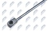 TAILGATE GAS SPRING - NTY AE-FR-013 (фото 2)