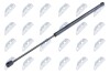 TAILGATE GAS SPRING - NTY AE-FR-018 (фото 1)