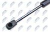 HOOD GAS SPRING - NTY AE-FR-037 (фото 2)