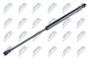 HOOD GAS SPRING - NTY AE-FT-037 (фото 1)