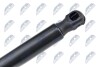 TAILGATE GAS SPRING - (74820TL4G01) NTY AE-HD-006 (фото 3)