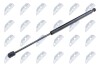 TAILGATE GAS SPRING - NTY AE-HY-011 (фото 1)