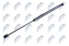 TAILGATE GAS SPRING - (817703W000, 817704T000, 817803W000) NTY AE-KA-019 (фото 1)