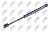 HOOD GAS SPRING - (51239802054) NTY AE-ME-048 (фото 1)