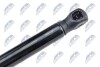 HOOD GAS SPRING - (51239802054) NTY AE-ME-048 (фото 3)