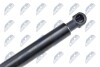 TAILGATE GAS SPRING - (1615079680, 8731G5) NTY AE-PE-005 (фото 3)