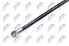 HOOD GAS SPRING - NTY AE-PE-033 (фото 2)