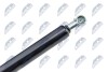 HOOD GAS SPRING - NTY AE-PE-033 (фото 3)