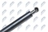 TAILGATE GAS SPRING - NTY AE-RE-026 (фото 3)