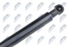 TAILGATE GAS SPRING - (844301324R) NTY AE-RE-036 (фото 3)