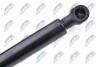 HOOD GAS SPRING - (654700008R) NTY AE-RE-047 (фото 3)