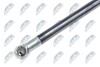 TAILGATE GAS SPRING - NTY AE-SA-001 (фото 2)