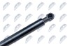 TAILGATE GAS SPRING - NTY AE-SK-009 (фото 3)