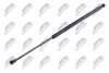 HOOD GAS SPRING - NTY AE-TY-001 (фото 1)