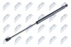 TAILGATE GAS SPRING - (689500D020, 689500D021, 689500D022) NTY AE-TY-013 (фото 1)