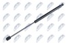 TAILGATE GAS SPRING - NTY AE-VW-018 (фото 1)